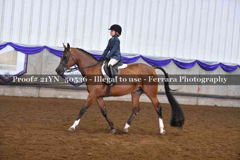 Proof 21YN_50536