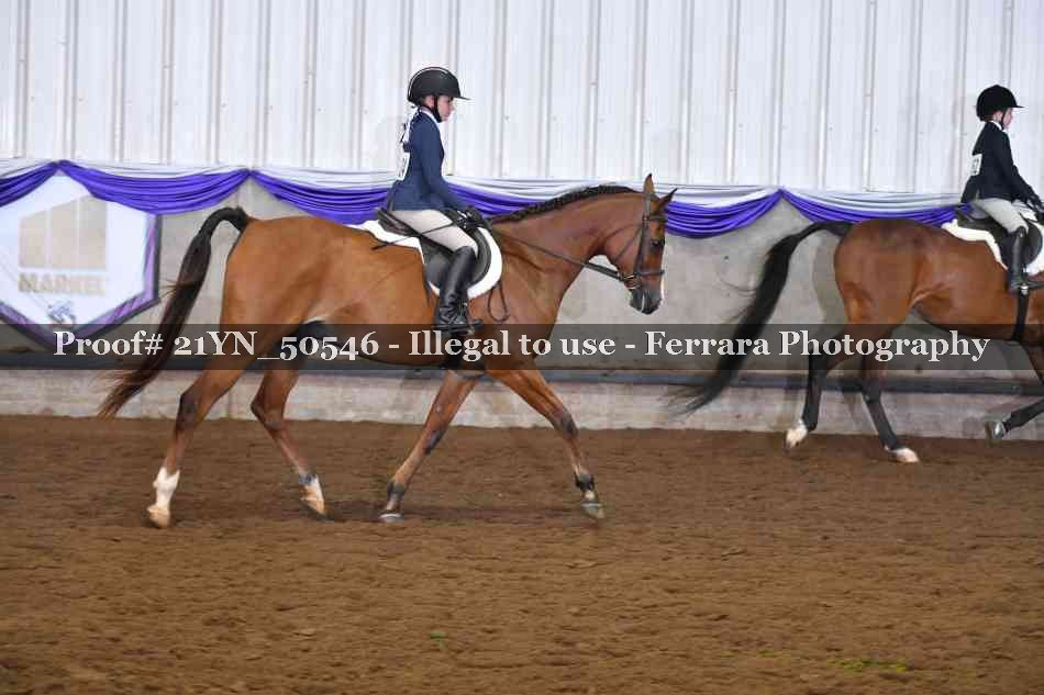 Proof 21YN_50546