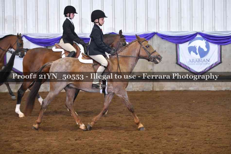 Proof 21YN_50553