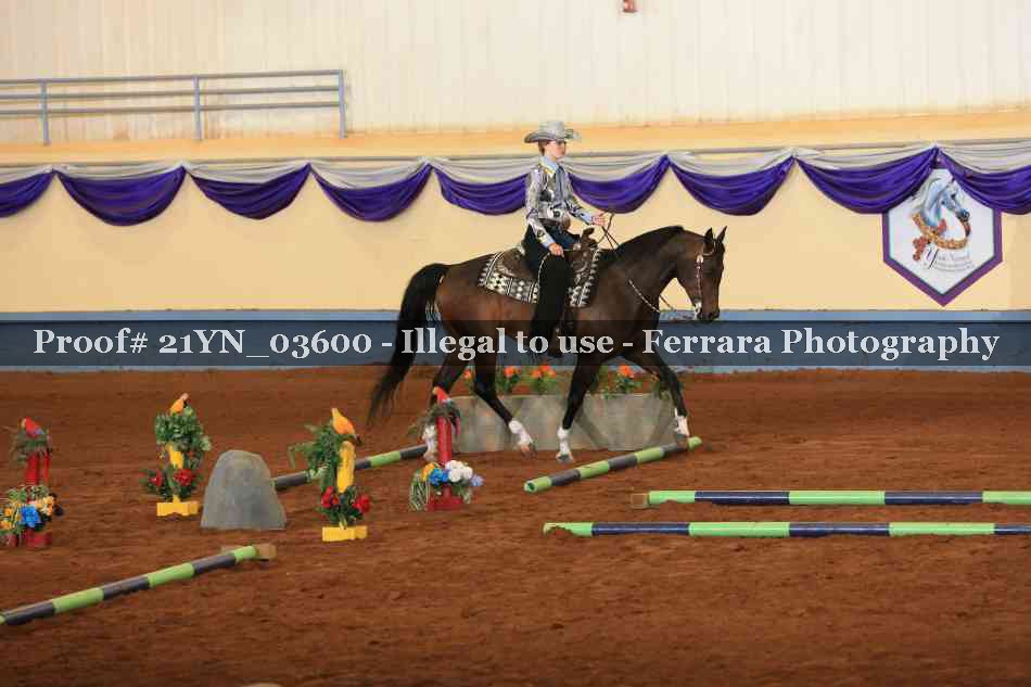 Proof 21YN_03600