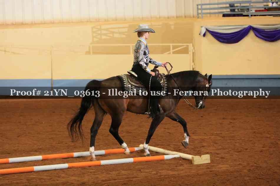 Proof 21YN_03613