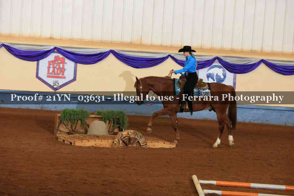 Proof 21YN_03631