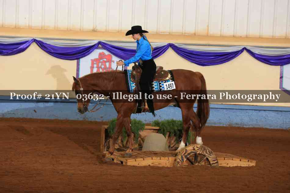 Proof 21YN_03632