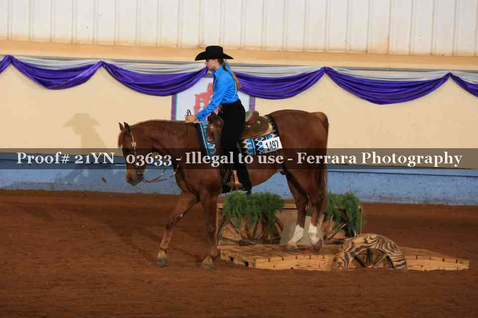 Proof 21YN_03633