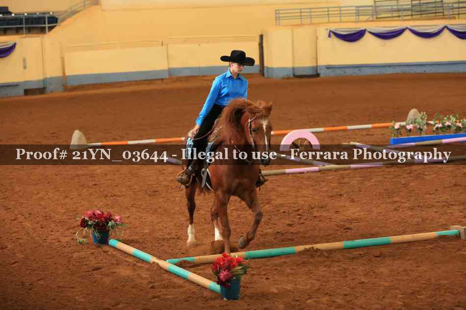 Proof 21YN_03644