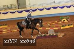 21YN_22896 proof