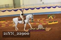 21YN_22900 proof