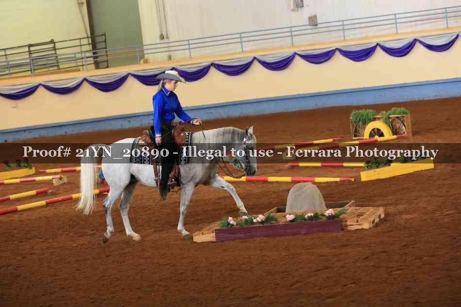 Proof 21YN_20890