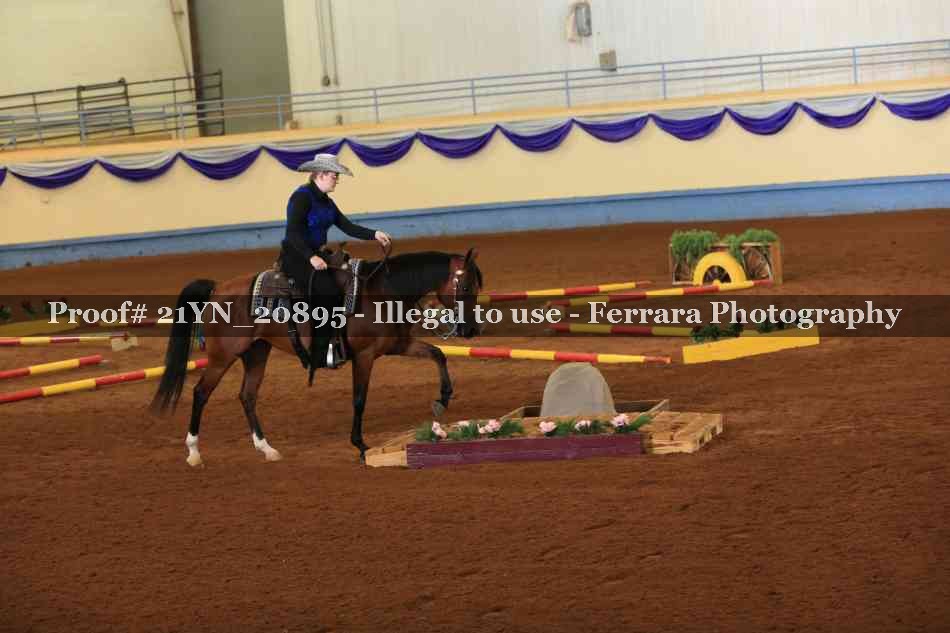 Proof 21YN_20895