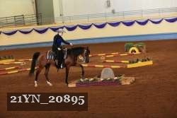 21YN_20895 proof