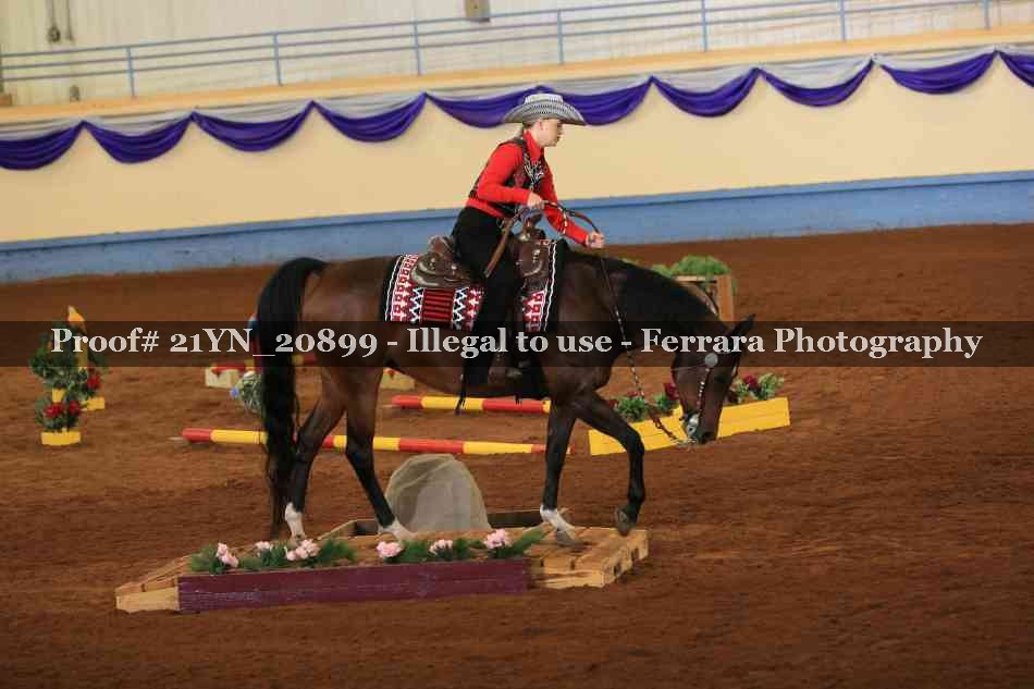 Proof 21YN_20899