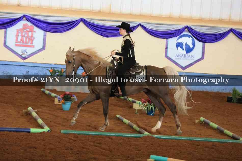 Proof 21YN_20901