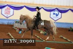21YN_20901 proof