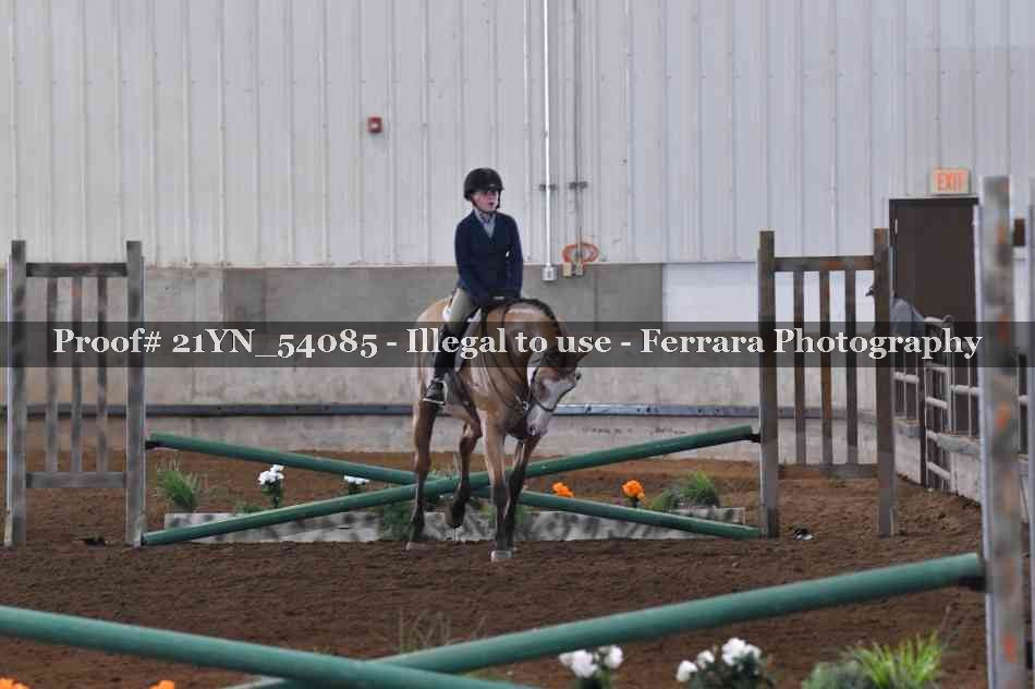 Proof 21YN_54085