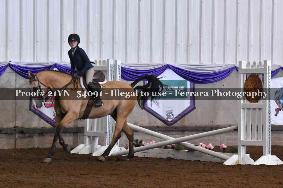 Proof 21YN_54091