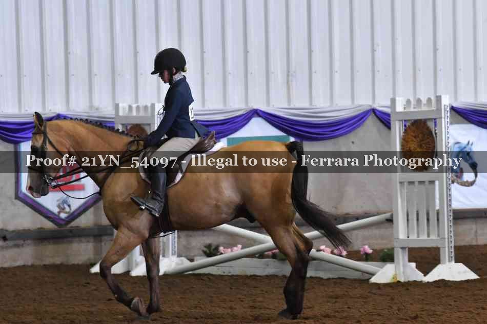 Proof 21YN_54097