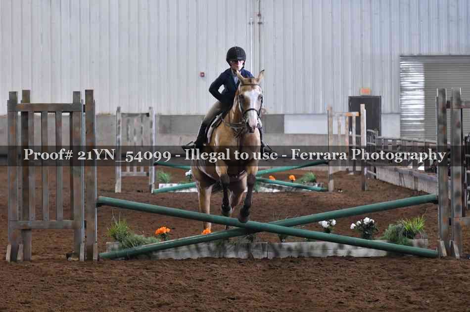 Proof 21YN_54099