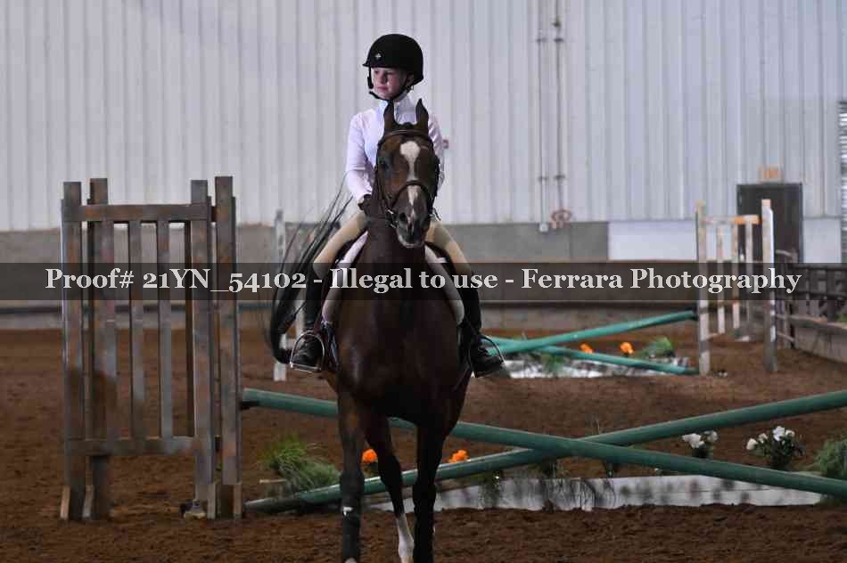Proof 21YN_54102