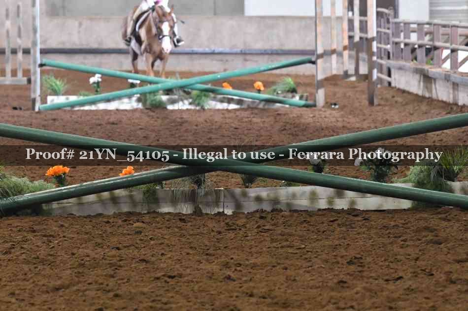 Proof 21YN_54105