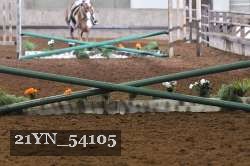 21YN_54105 proof