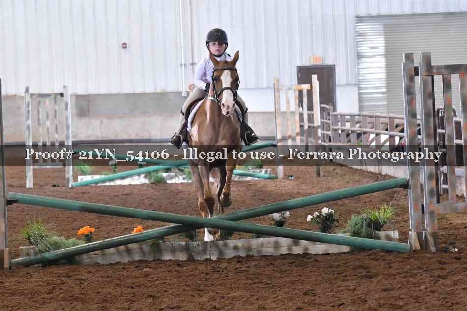 Proof 21YN_54106