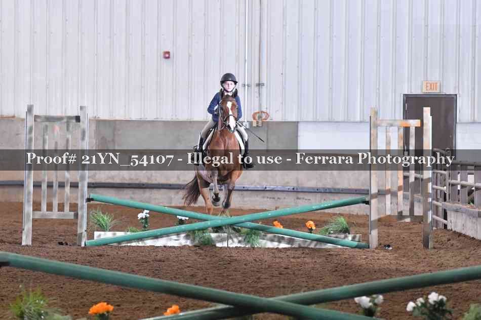 Proof 21YN_54107