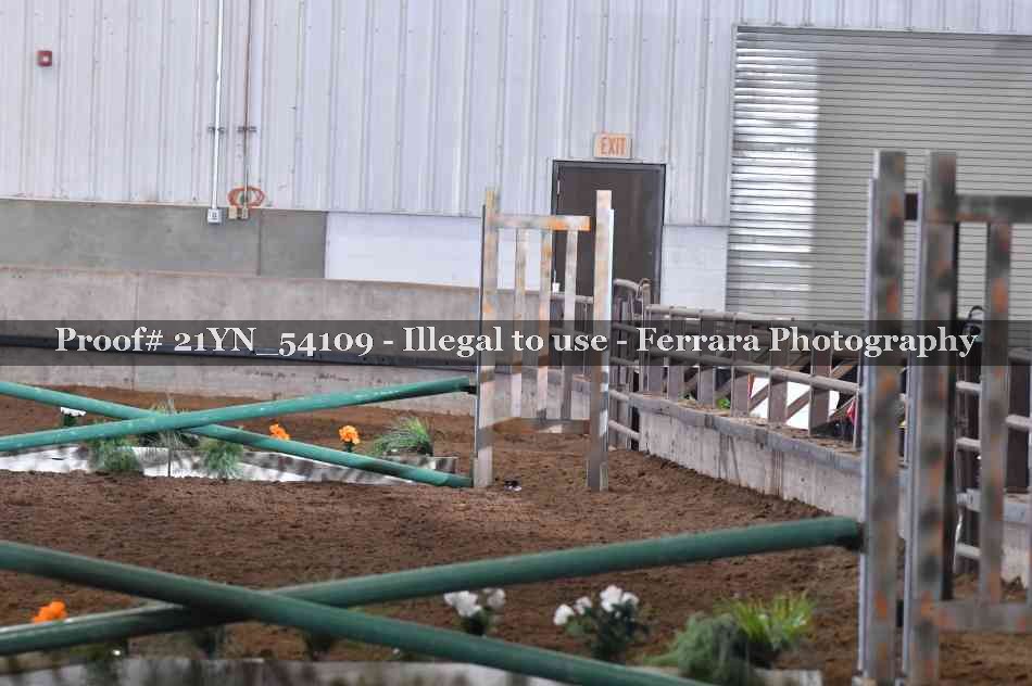Proof 21YN_54109