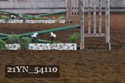 21YN_54110 proof