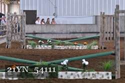 21YN_54111 proof