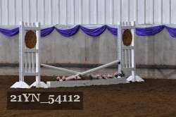 21YN_54112 proof
