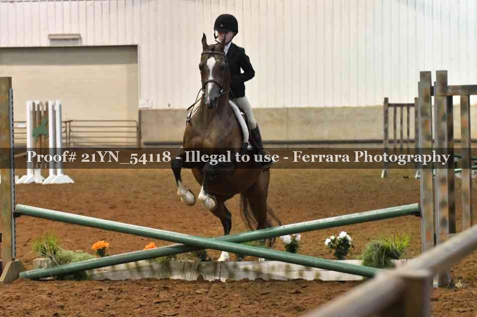 Proof 21YN_54118