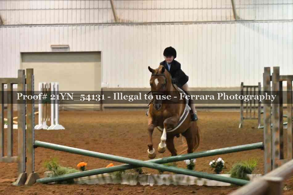 Proof 21YN_54131