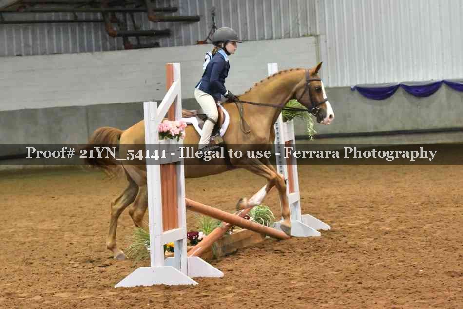 Proof 21YN_54141
