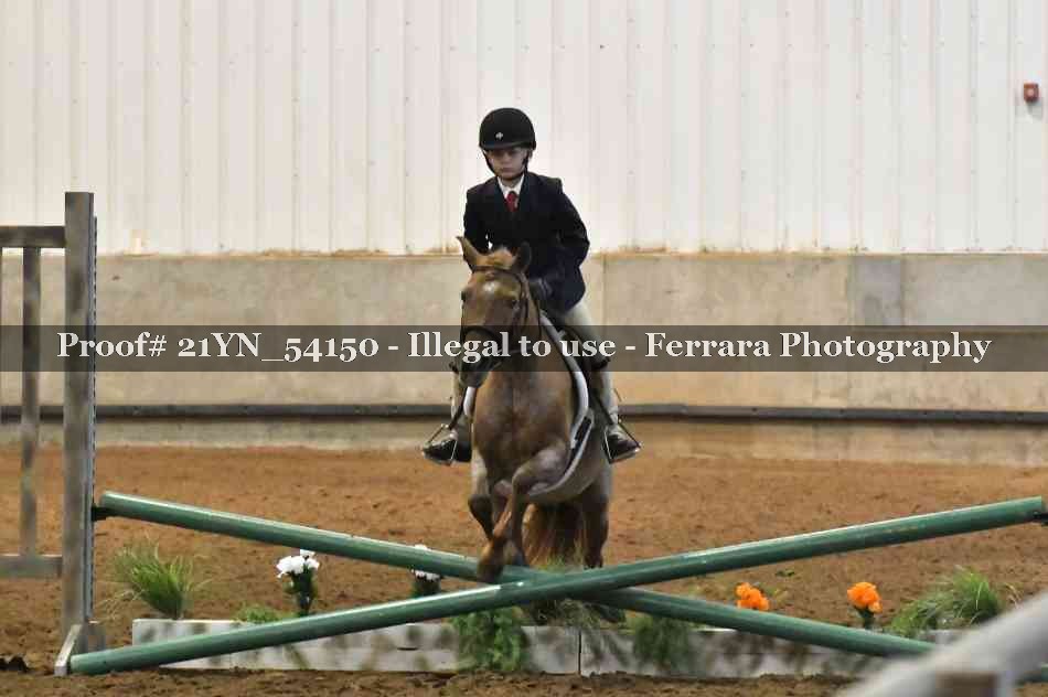 Proof 21YN_54150