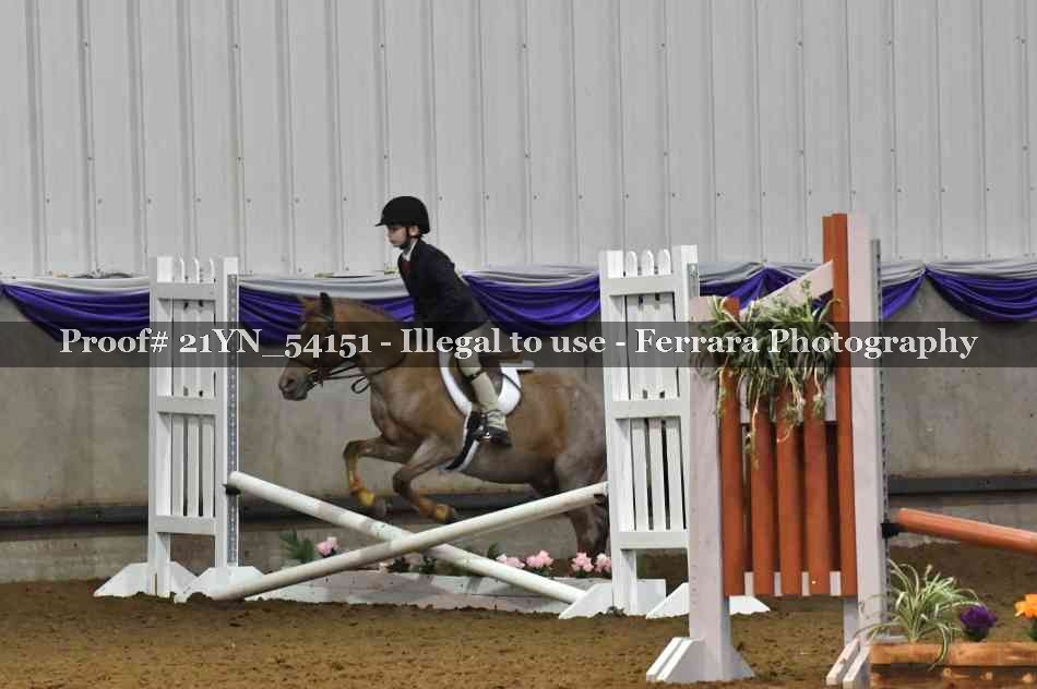 Proof 21YN_54151