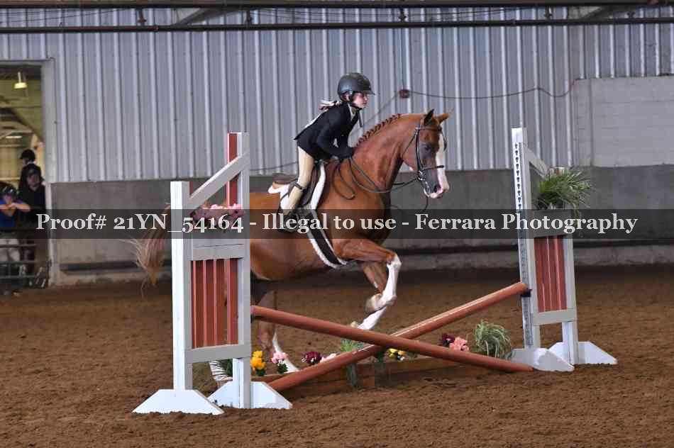 Proof 21YN_54164