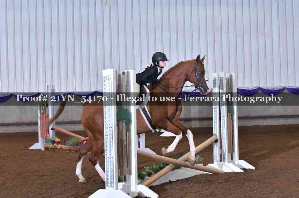 Proof 21YN_54170
