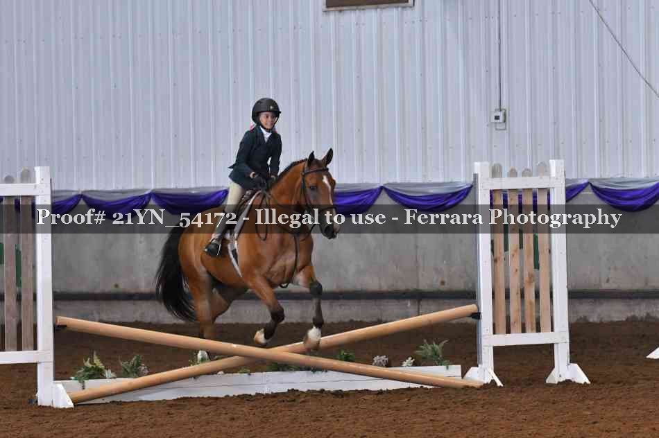 Proof 21YN_54172