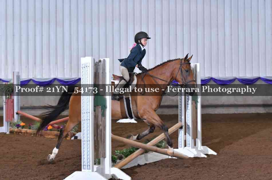 Proof 21YN_54173