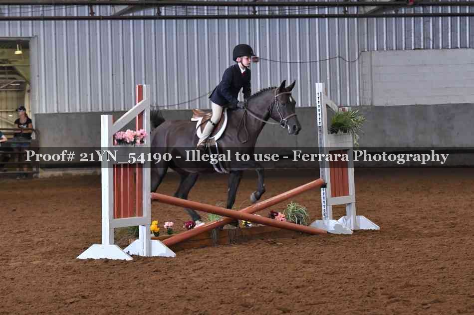 Proof 21YN_54190