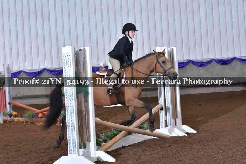 Proof 21YN_54193