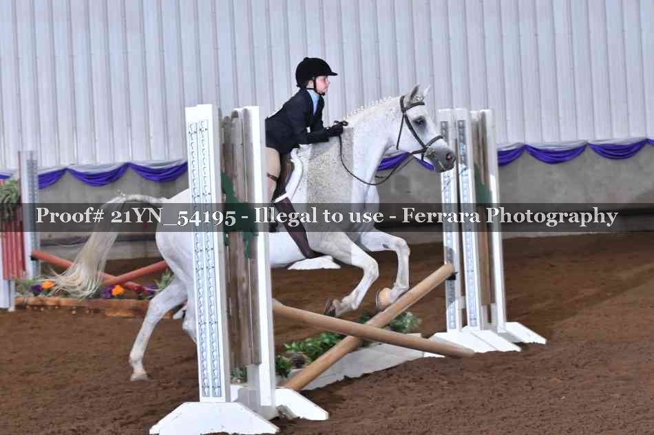 Proof 21YN_54195