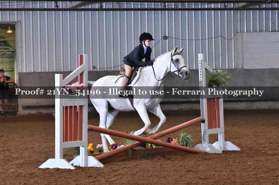 Proof 21YN_54196