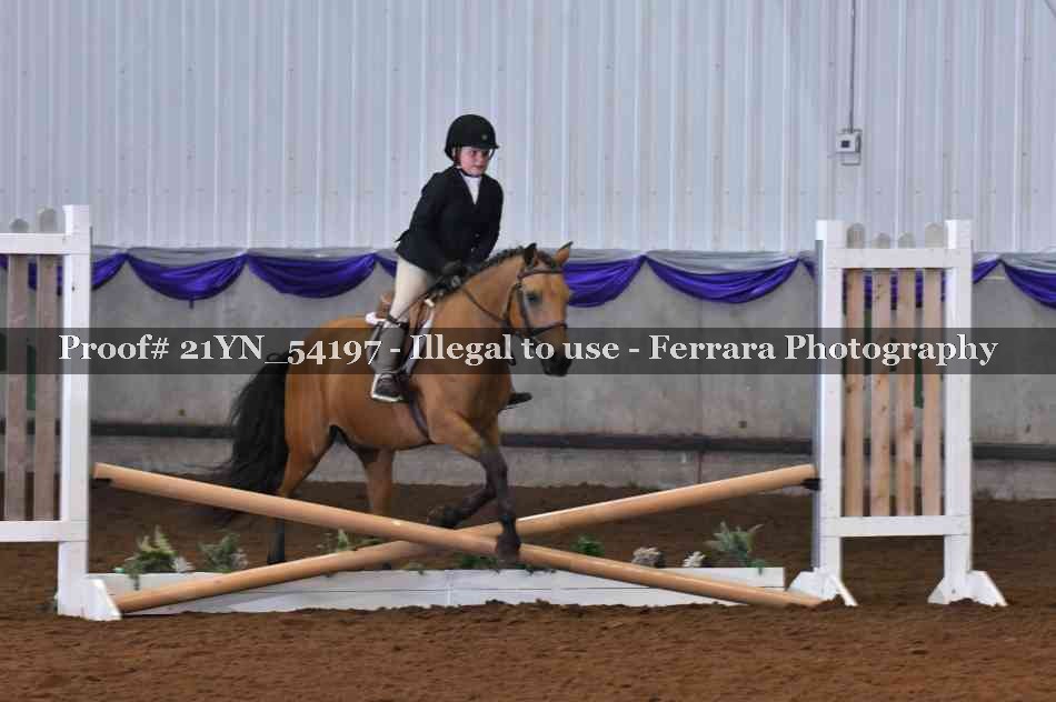 Proof 21YN_54197