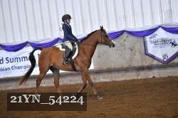 21YN_54224 proof