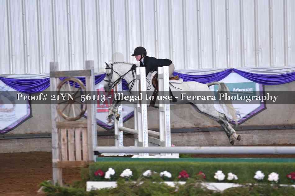 Proof 21YN_56113