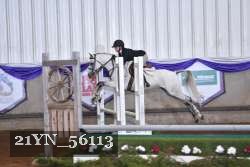 21YN_56113 proof
