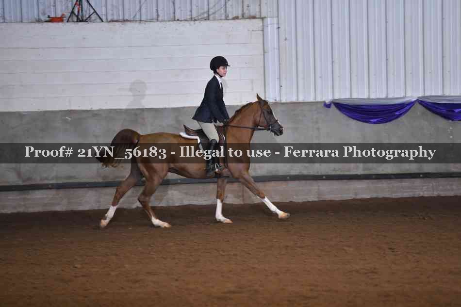 Proof 21YN_56183