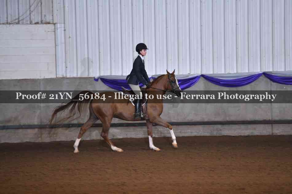 Proof 21YN_56184