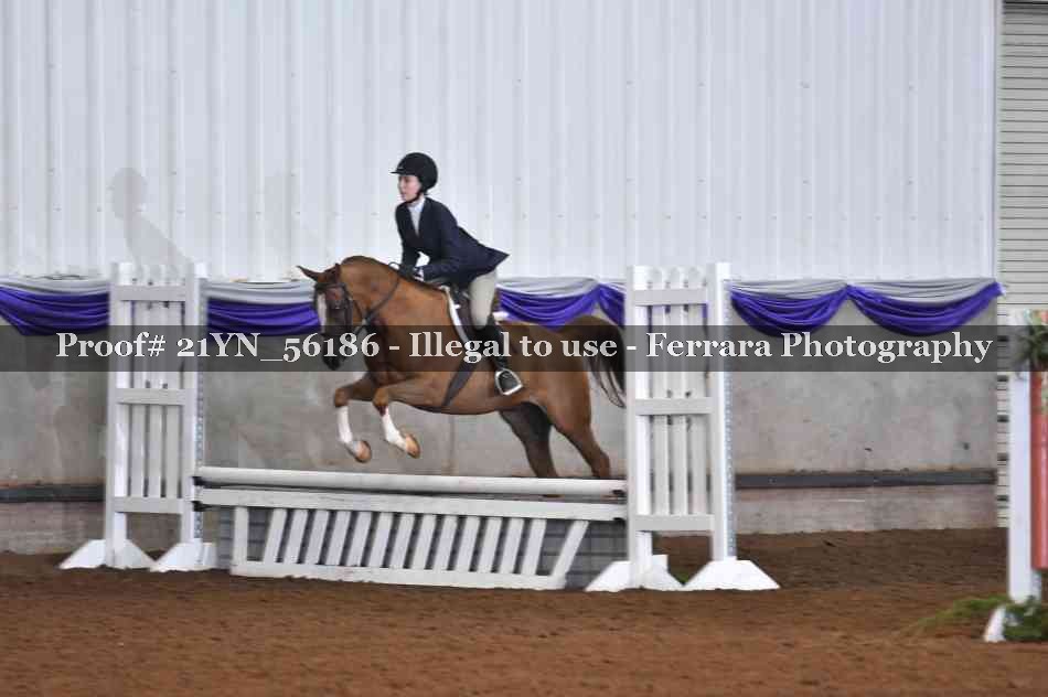 Proof 21YN_56186